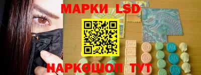 сатива Новозыбков