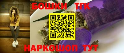 сатива Новозыбков