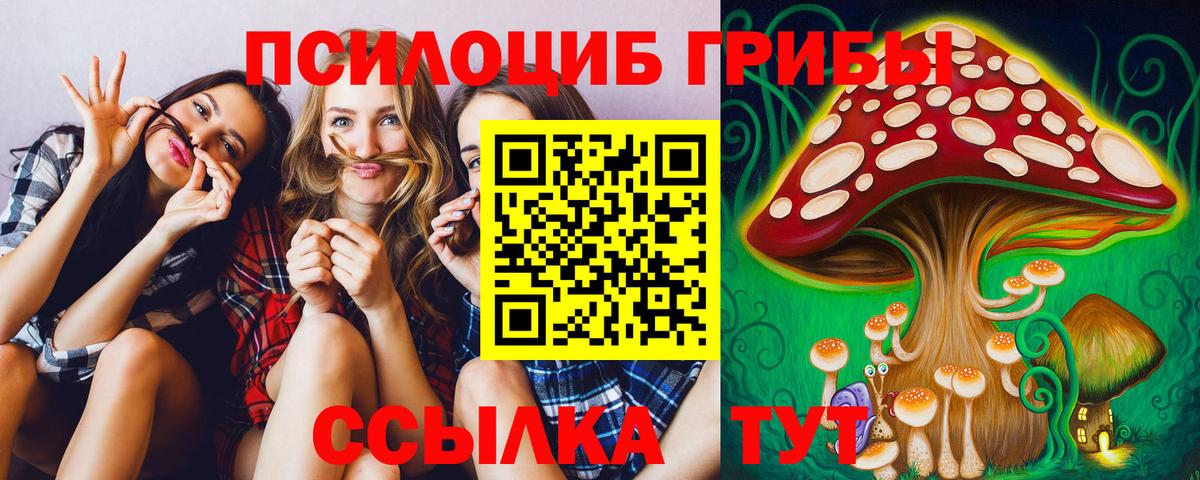 Галлюциногенные грибы ЛСД Тимашёвск