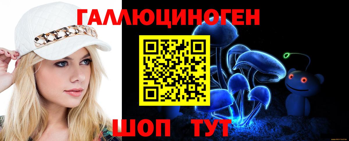 где продают   Галлюциногенные грибы Cubensis  Вход с VPN  Тимашёвск 
