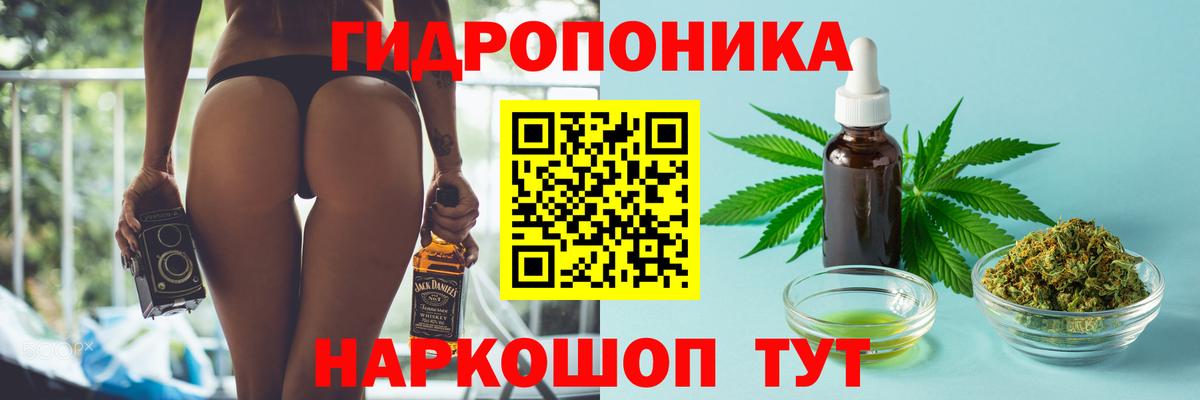 Марихуана индика Тимашёвск